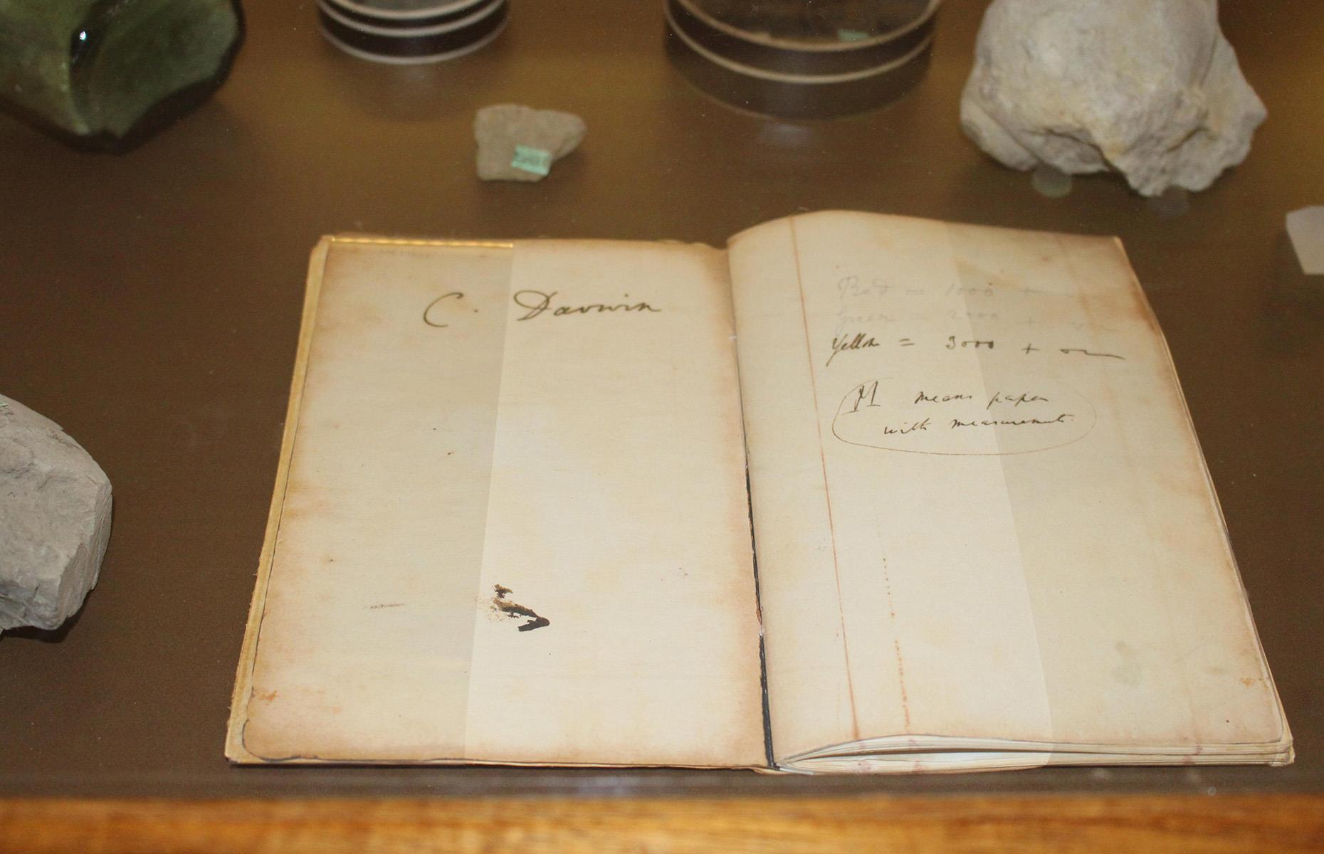 Charles Darwin's notebooks
